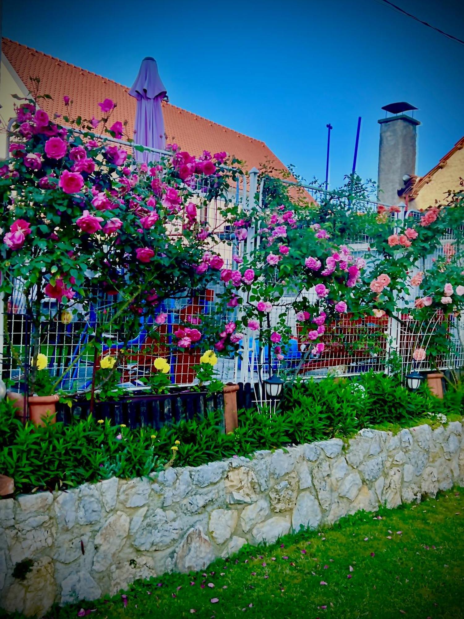 Apartments Dajcic Varazdinske Toplice Bagian luar foto